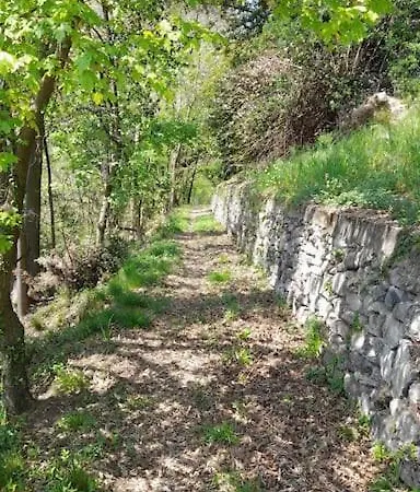بيت للعطل Il Noce Canzo