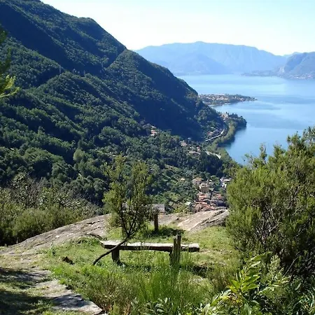 Apartment Il Noce