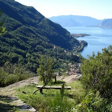 Il Noce Canzo